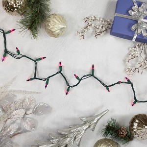 Northlight Mini Incandescent Christmas Lights - Purple - 10' Green Wire - 50ct - 1 of 4