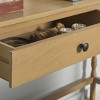 Astaroth Desk - DSK5716 - Safavieh - 3 of 4