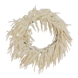 Nearly Natural 24" Artificial Real Touch White Norfolk Island Pine Wreath with Natural Look - 1 of 4