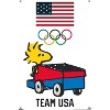 Trends International Team USA x Peanuts – Woodstock Drives the Zamboni Unframed Wall Poster Prints - 4 of 4