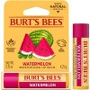 Burt's Bees Moisturizing Lip Balm - Watermelon - 0.15oz - 2 of 4