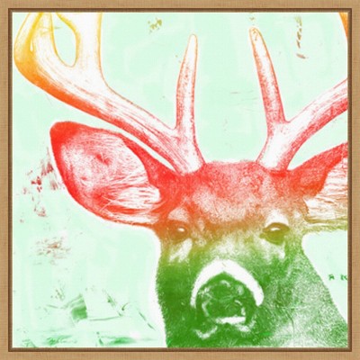22"x22" Colorful Deer Portrait on Canvas with Maple Frame