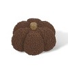 Large Pumpkins Coffee - Bullseye's Playground™ - 2 of 3