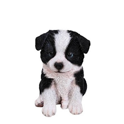 border collie gifts & products