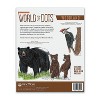 EDD:  World of Dots: Woodland - 2 of 3