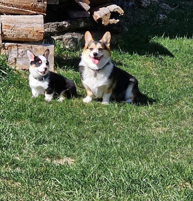 Guest review image 1 of 1, zoom in