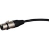 Livewire Advantage Interconnect Cable 1/4 TRS Male to XLR Female Black - 3 of 3