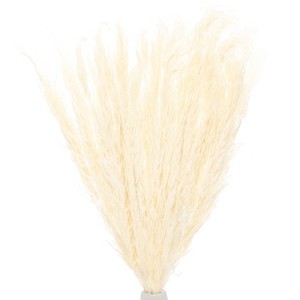 Unique Bargains Artificial Pampas Grass Decor Pampas Grass Small 45 cm/18 Inch 10 Pcs - 1 of 4