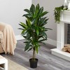 Nearly Natural 48-in Dracaena Silk Plant (Real Touch) - 2 of 2