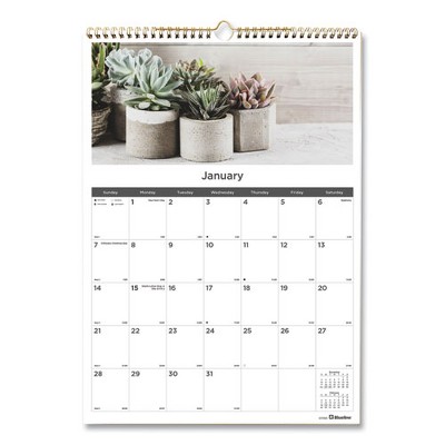 12-Month Wall Calendar, Succulent Plants Photography, 12 x 17, White/Multicolor Sheets, 12-Month (Jan to Dec): 2025