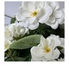 2 Pack Silk Fabric & Plastic Begonia Tree DIY Kit, 35cm Tall Artificial Flower Craft Supplies For Home Decor, Wedding Centerpiece, Floral Arrangement - 3 of 3
