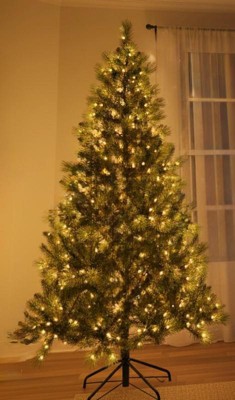 Guest review image 2 of 5, zoom in