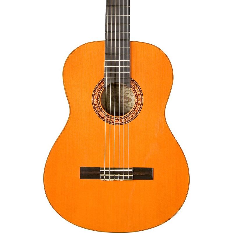 Washburn Classical Acoustic Guitar, 1 of 4
