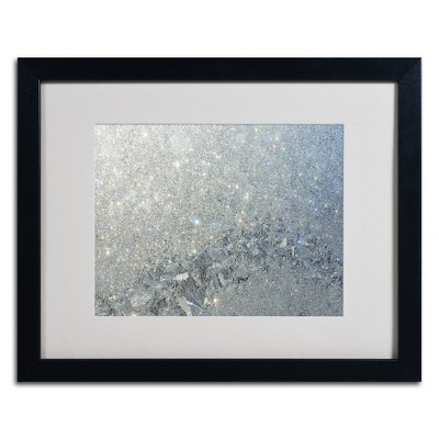 Trademark Fine Art - Kurt Shaffer 'Frost Pattern Sun Stars'