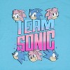 Sonic the Hedgehog Girl's Sonic Amy Rose Kids Short-Sleeve T-Shirt - 2 of 3