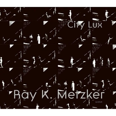 Ray K. Metzker - by  Carrie Springer (Hardcover)