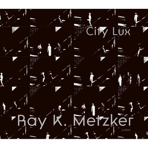 Ray K. Metzker - by  Carrie Springer (Hardcover) - 1 of 1