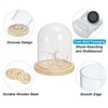 Unique Bargains Wooden Base LED Fairy Light Decor Glass Bell Jar Display Case - 3 of 4