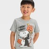 Toddler Boys' Snoopy I Want Candy Halloween Short Sleeve T-Shirt - Gray - 2 of 4