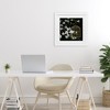 Stupell Industries Evening Song Birdcage over Black Framed Print Under Glass - 3 of 4