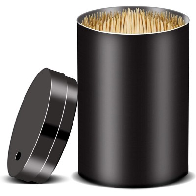 Stainless Steel Metal Toothpick Holder Dispenser, Container with 500 Bamboo Round Toothpicks for Teeth & Kitchen, Black