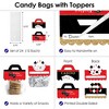 Big Dot of Happiness Las Vegas DIY Casino Party Clear Goodie Favor Bag Labels Candy Bags with Toppers Set of 24 - 3 of 4