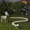 11" Goat Skeleton Halloween Decorative Prop - Hyde and EEK! Boutique™ - 2 of 3
