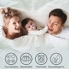 Ivory Quilt Coverlet- For Twin Size Beds-Basket Weave Quilted Pattern-Soft & Lightweight Bedding for All Seasons by Hastings Home - 4 of 4