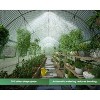 AMERLIFE Greenhouse with Watering System, 12 Windows, Swing Door, Galvanized Frame, Green - 3 of 4