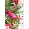 Cornucopia Brands Artificial Red Cardinals, 6pk; Realistic Feathered Decorations for Christmas Trees, Wreaths and Crafts - 4 of 4