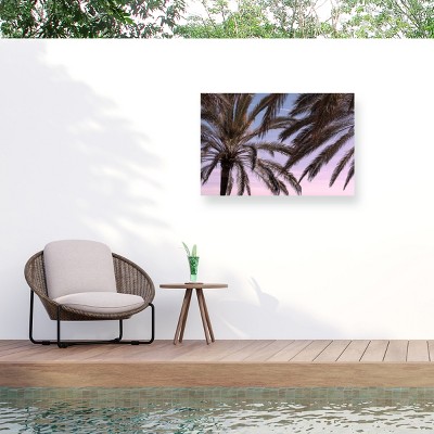 Trademark Fine Art - Pictufy Studio III Palm 12 Matted Framed Art