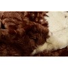 Luxe Classic Faux Hide Rug | 5.25'x7.5' - 2 of 4