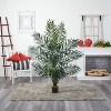 HomeStock  5 ft. Artificial Palm Tree in Pot for Indoor/Outdoor - 3 of 3