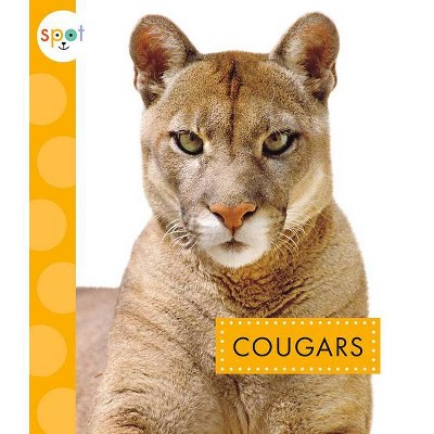 cougar wild cat