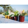 SpassWay 15" Dia Outdoor Indoor Ceramic Planter Pot Decorative Planter with Drainage Hole Patio Flower Pot - 4 of 4
