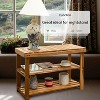 Shoe Bench, 3-Tier Shoe Rack Bench, Seat Holds Up to 200 Lb Strong Weight Bearing Sturdy Shoe Organizer Storage Bench for Entryway,Brown - 2 of 4