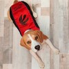 NBA Toronto Raptors Pets Puffer Vest - 4 of 4