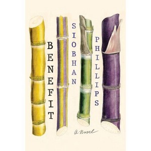 Benefit - by  Siobhan Phillips (Paperback) - 1 of 1