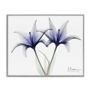 Stupell Industries X-Ray Lily Flowers Black Framed Giclee Art - 1 of 4