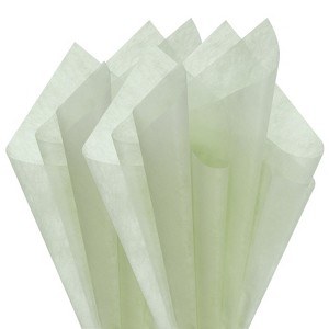 Unique Bargains Waterproof Non-Woven Fabric Florist Decorative Gift Wrap Paper 20 Pcs - 1 of 4