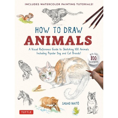 How To Draw 101 Cute Stuff For Kids - By Bancha Pinthong & Boonlerd  Rangubtook (paperback) : Target