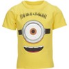 Despicable Me Minions 3 Pack T-Shirts Toddler to Big Kid - 2 of 4