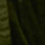 cream, tan, light brown