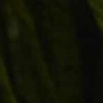 cream, tan, light brown