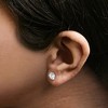 Haus of Brilliance 14K White Gold 3-Prong Martini Set Lab Grown Diamond Solitaire Stud Earrings - 4 of 4