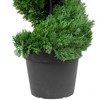 Northlight Real Touch™ Artificial Cedar Spiral Topiary Tree in Black Pot, Unlit - 5' - 4 of 4
