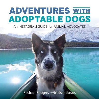 Adventures with Adoptable Dogs - by  Rachael Rodgers (Paperback)