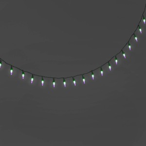 100ct LED Halloween Indoor Outdoor Double Filament String Lights Purple/Green/Black - Hyde and EEK! Boutique™ - 1 of 4