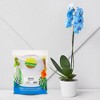 Soil Sunrise 2qt Orchid Potting Soil Mix; Fast Draining Healthy Media - 2 of 4
