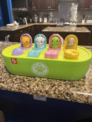 Guest review image 4 of 4, zoom in